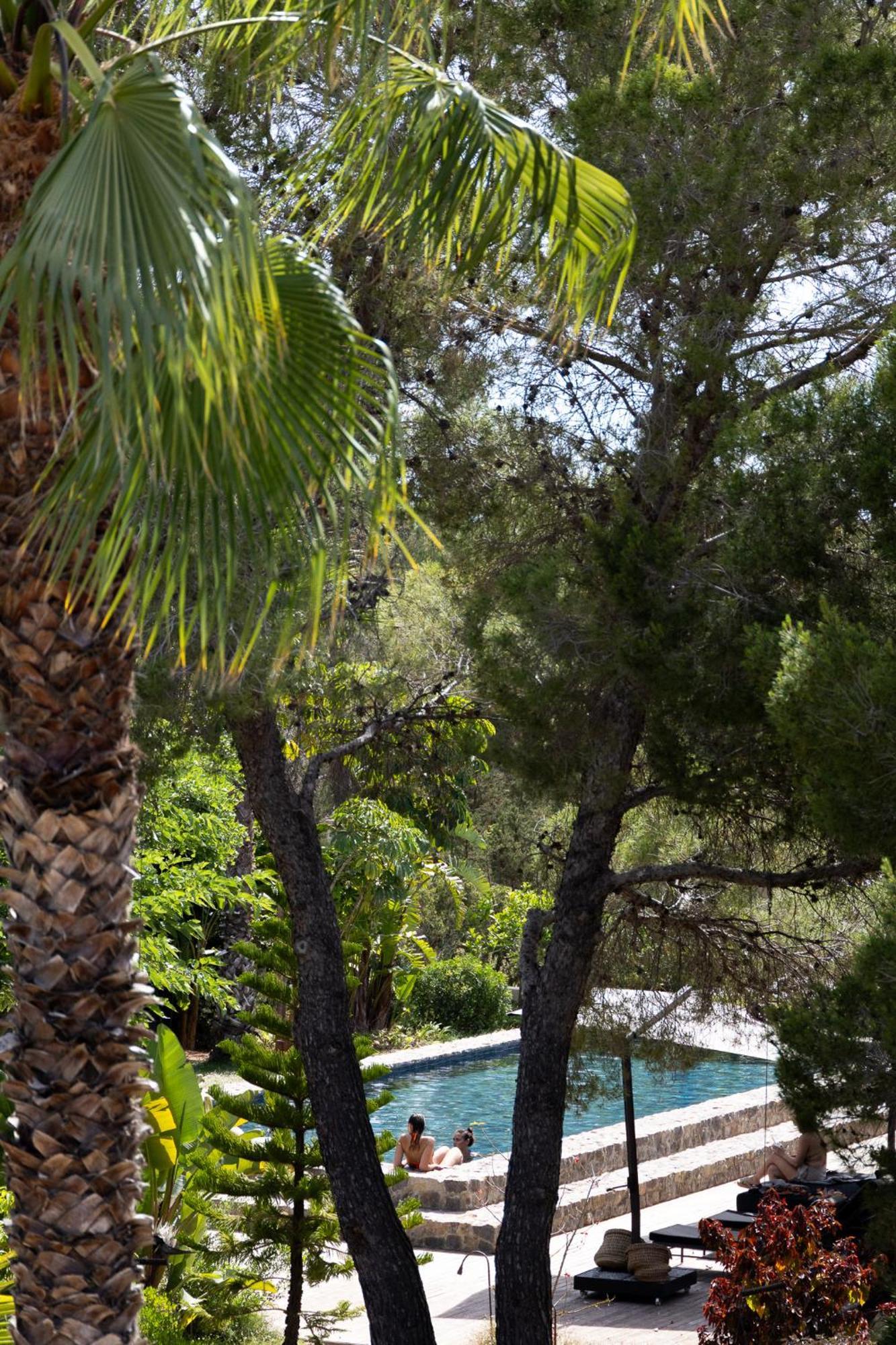 Can Serenico Ibiza * San José